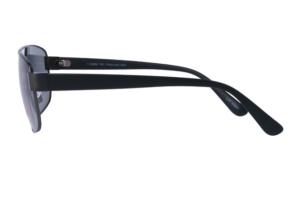 Polarview PV 520 F