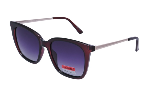 Polarview PV 840 C