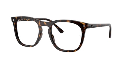 Rayban RB 2210V 2012 53-21