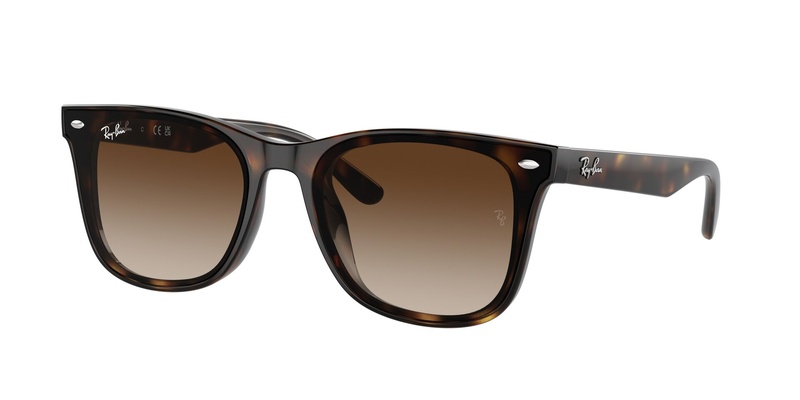 Rayban RB 4420 710/13 65-18