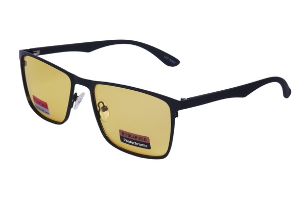 Polarview PV 500 D