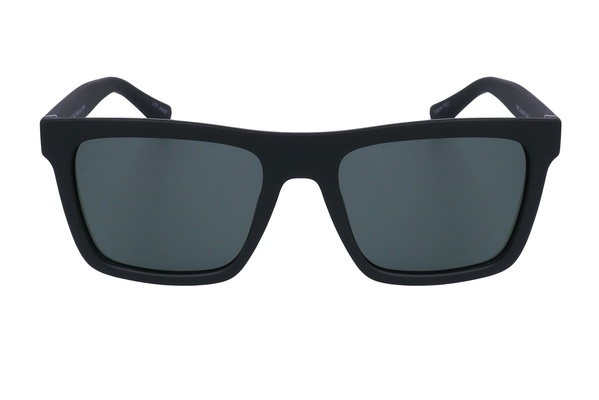 Polarview PV 650 C