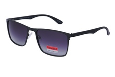 polarview, PV 500, meestele, nurgeline, polariseeritud, metall