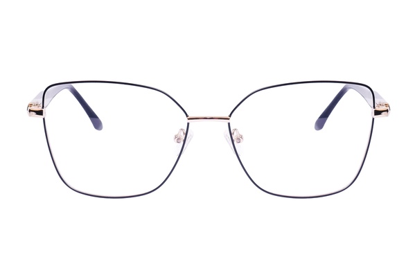 Icone D 3491 C1 54-15