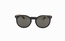 Trendy 8003 C4 48-21