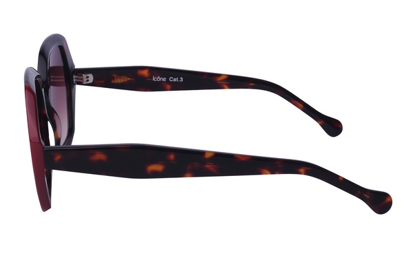 Icone AS 8810 C3 55-20