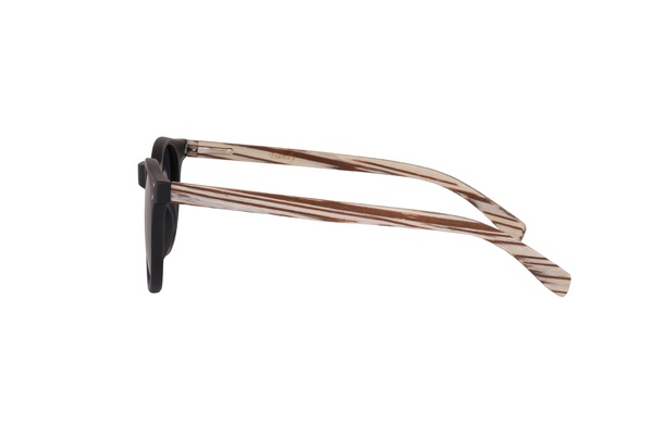 Trendy 8003 C2 48-21