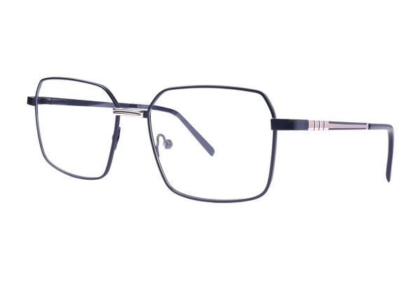 Diverso V 27640 C1 55-17